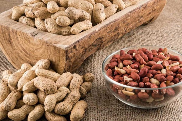 تصویر 3 از خرید و قیمت بادام زمینی بو داده + فروش صادراتی